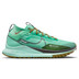 Nike Pegasus Trail 4 GTX Herren