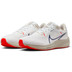 Nike Pegasus 40 Herren 5