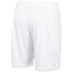 Stanno Focus Short