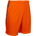 Stanno Focus Short