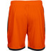 Stanno Focus Short