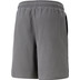 Puma Posterize Short 2