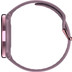 Polar Ignite 3