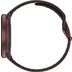 Polar Ignite 3