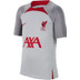 Nike Liverpool Strike Top Kids 2022/2023 1