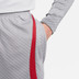 Nike Liverpool Strike Trainingsset