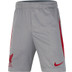 Nike Liverpool Strike Short Kids 2022/2023