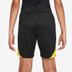 Nike Paris Saint-Germain Strike Short Kids 2