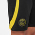 Nike Paris Saint-Germain Strike Short Kids 4