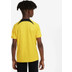 Nike Paris Saint-Germain Pre-Match Top Kids
