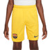 Nike FC Barcelona 4th Tenue Kids