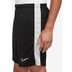 Nike Academy Shorts