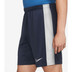 Nike Academy Voetbaltenue