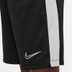 Nike Academy Shorts Barn