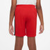 Nike Academy Short Kids