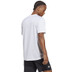 adidas M Club Tee 2