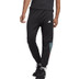 adidas Training Icons Pant
