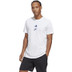 adidas Graphic Thiem Training Tee 1