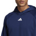 adidas Train Icons Hoody
