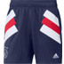 adidas Ajax Icon Träningsset

