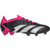 adidas Predator Accuracy .1 Low FG