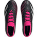 adidas Predator Accuracy .1 Low FG