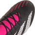 adidas Predator Accuracy .1 Low FG