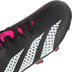 adidas Predator Accuracy .3 Low FG