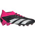 adidas Predator Accuracy .1 AG