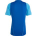 adidas Tiro 23 Competition Träningsset
