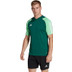 adidas Tiro 23 Competition Träningströja
