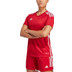 adidas Tiro 23 Competition Match Tröja