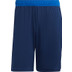adidas Tiro 23 Competition Träningsshorts