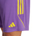 adidas Tiro 23 Pro Keeperstenue