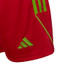 adidas Tiro 23 Training Short Kids