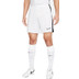 Nike Academy Shorts