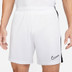 Nike Academy Shorts