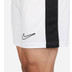Nike Academy Shorts
