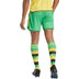 adidas Jamaica Hemma Fotboll kit 
