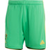 adidas Jamaica Hemma Fotboll kit 
