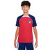 Nike Atletico Madrid Strike Trainingsset Kids