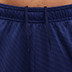 Nike Atletico Madrid Strike Trainingsset
