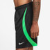 Nike Liverpool Strike Short 2023/2024