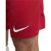Nike Liverpool Thuis Tenue