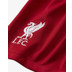 Nike Liverpool Thuis Tenue Kids