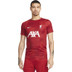 Nike Liverpool Pre-Match Trainingsset