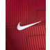 Nike Liverpool Pre-Match Trainingsset