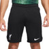 Nike Liverpool Borta Fotboll kit 
