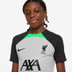 Nike Liverpool Strike Trainingsset Kids