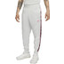 Nike Sportswear Repeat Jogger Pant
